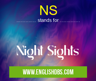NS means Night Sights NS