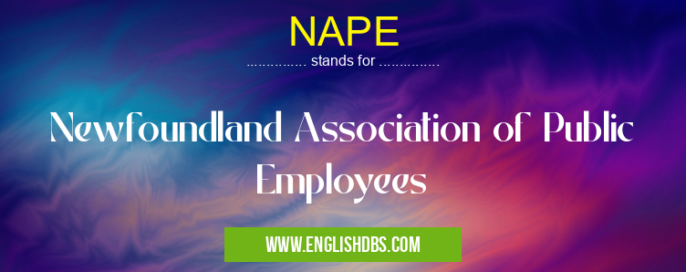 NAPE means Newfoundland Association of Public Employees NAPE