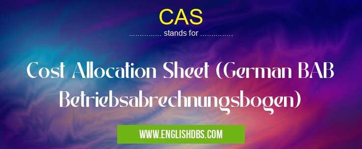CAS means Cost Allocation Sheet (German BAB Betriebsabrechnungsbogen) CAS