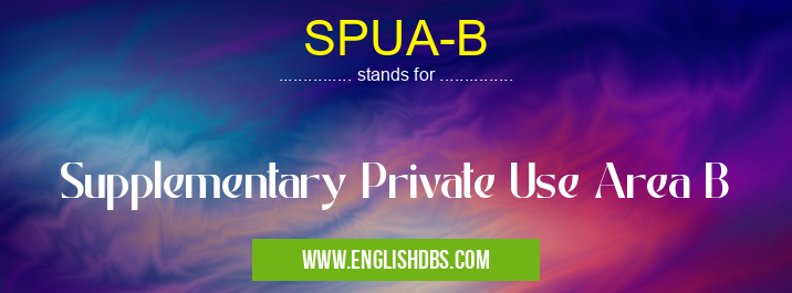 SPUA-B means Supplementary Private Use Area B SPUA-B