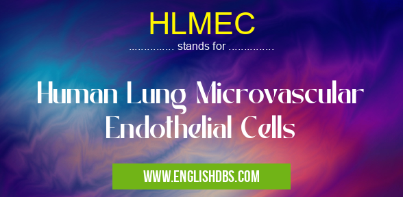HLMEC means Human Lung Microvascular Endothelial Cells HLMEC