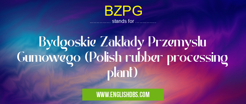 BZPG means Bydgoskie Zaklady Przemyslu Gumowego (Polish rubber processing plant) BZPG