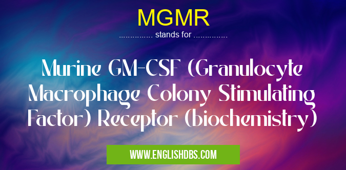 MGMR means Murine GM-CSF (Granulocyte Macrophage Colony Stimulating Factor) Receptor (biochemistry) MGMR