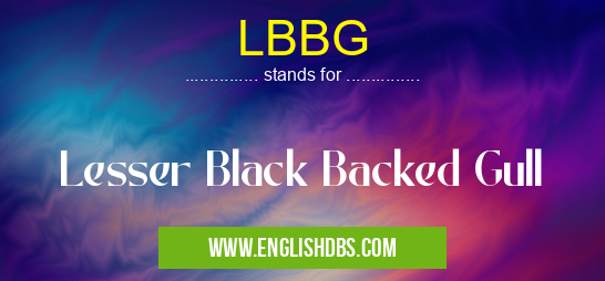 LBBG means Lesser Black Backed Gull LBBG