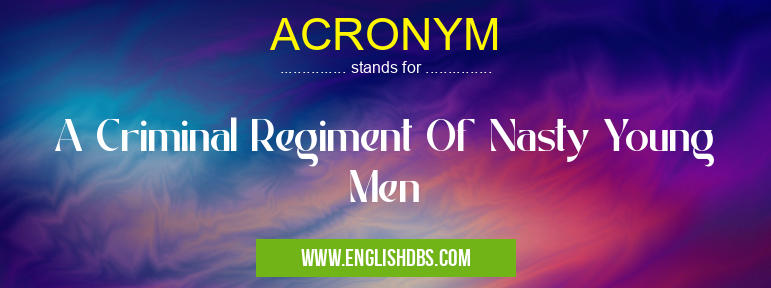 ACRONYM means A Criminal Regiment Of Nasty Young Men ACRONYM