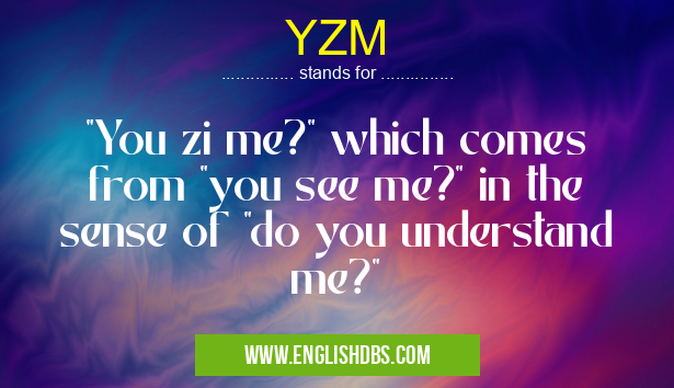 YZM means "You zi me?" which comes from "you see me?" in the sense of "do you understand me?" YZM
