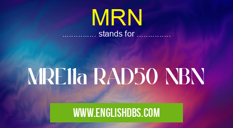 MRN means MRE11a RAD50 NBN MRN