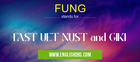 FUNG means FAST UET NUST and GIKI FUNG