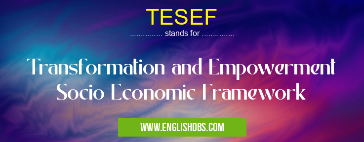 TESEF means Transformation and Empowerment Socio Economic Framework TESEF