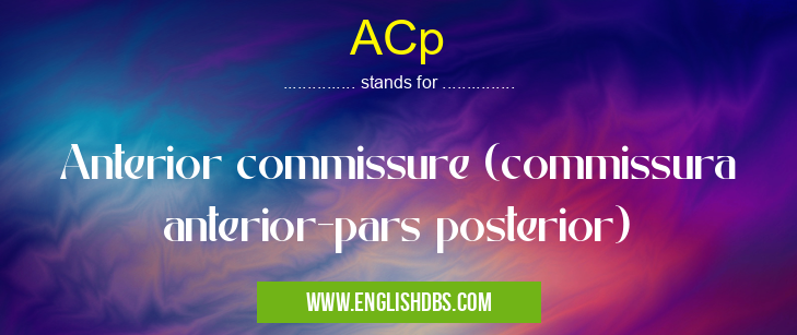 ACp means Anterior commissure (commissura anterior-pars posterior) ACp