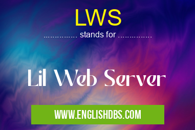 LWS means Lil Web Server LWS