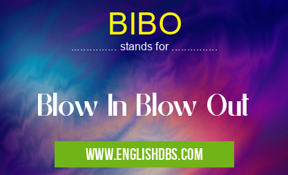 BIBO means Blow In Blow Out BIBO