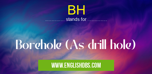 BH means Borehole (As drill hole) BH