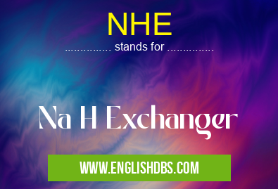 NHE means Na H Exchanger NHE