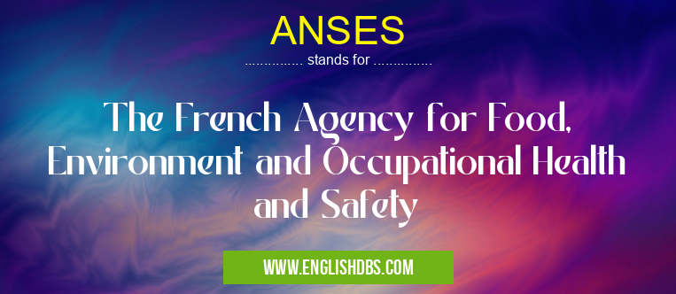 ANSES means The French Agency for Food, Environment and Occupational Health and Safety ANSES