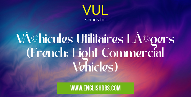 VUL means Véhicules Utilitaires Légers (French: Light Commercial Vehicles) VUL