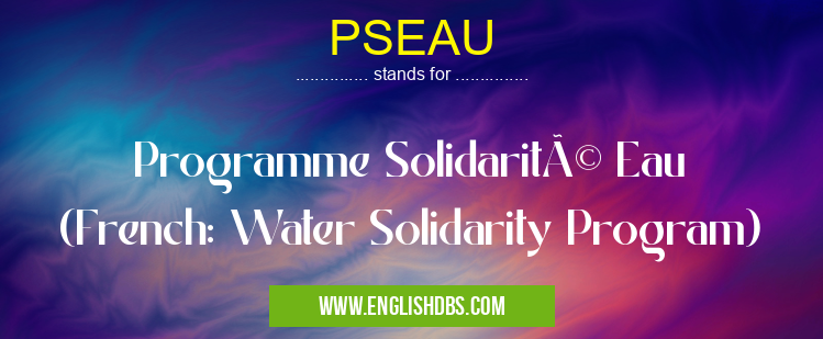 PSEAU means Programme Solidarité Eau (French: Water Solidarity Program) PSEAU