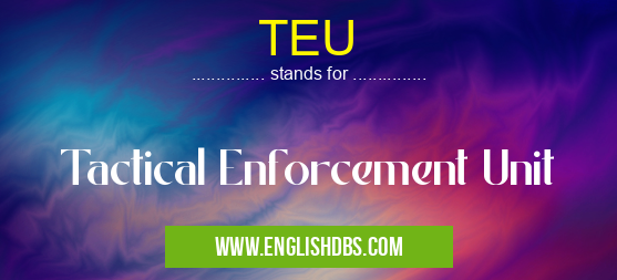 TEU means Tactical Enforcement Unit TEU