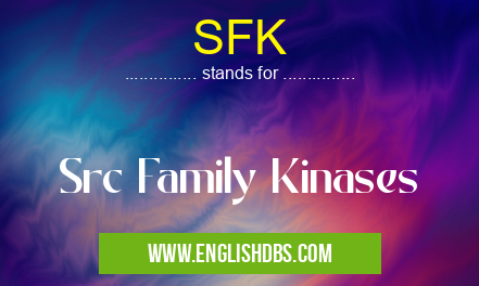SFK means Src Family Kinases SFK