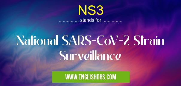 NS3 means National SARS-CoV-2 Strain Surveillance NS3