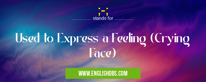;-; means Used to Express a Feeling (Crying Face) ;-;
