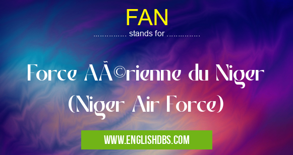 FAN means Force Aérienne du Niger
(Niger Air Force) FAN