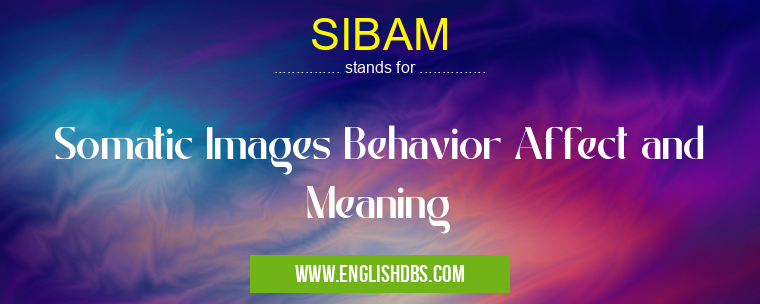 SIBAM means Somatic Images Behavior Affect and Meaning SIBAM
