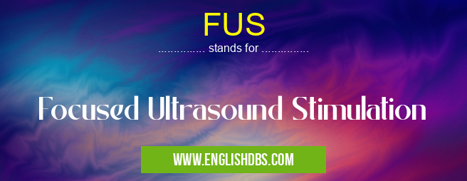 FUS means Focused Ultrasound Stimulation FUS