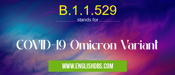 B.1.1.529 means COVID-19 Omicron Variant B.1.1.529