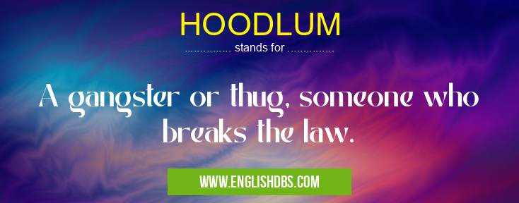HOODLUM means A gangster or thug, someone who breaks the law. HOODLUM