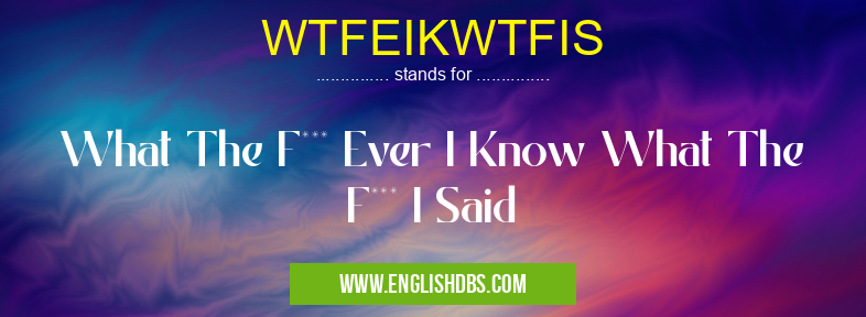 WTFEIKWTFIS means What The F*** Ever I Know What The F*** I Said WTFEIKWTFIS