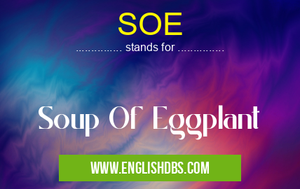 SOE means Soup Of Eggplant SOE