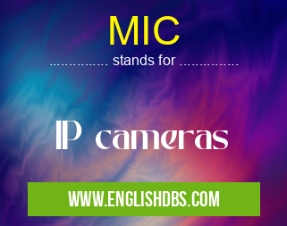 MIC means IP cameras MIC