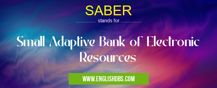 SABER means Small Adaptive Bank of Electronic Resources SABER