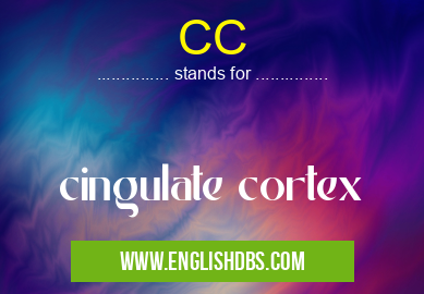 CC means cingulate cortex CC