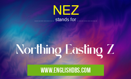 NEZ means Northing Easting Z NEZ