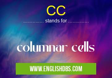 CC means columnar cells CC