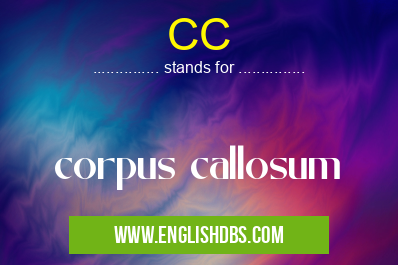CC means corpus callosum CC