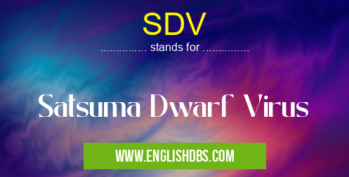 SDV