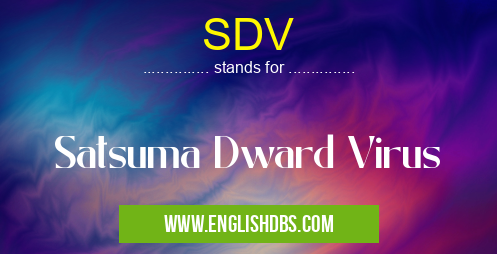 SDV