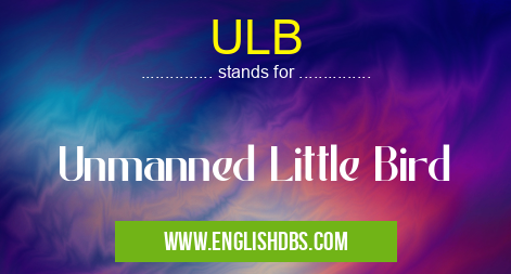 ULB means Unmanned Little Bird ULB