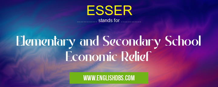 ESSER means Elementary and Secondary School Economic Relief ESSER