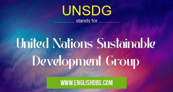 UNSDG means United Nations Sustainable Development Group UNSDG