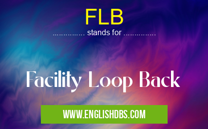 FLB means Facility Loop Back FLB
