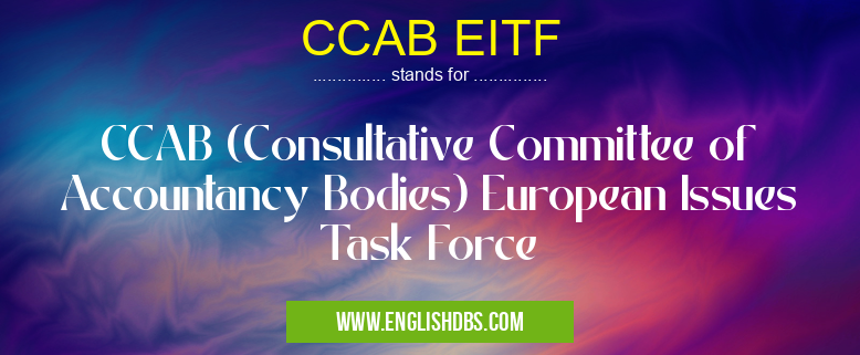 CCAB EITF means CCAB (Consultative Committee of Accountancy Bodies) European Issues Task Force CCAB EITF