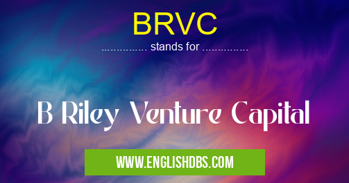 BRVC means B Riley Venture Capital BRVC