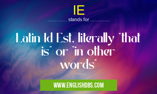 IE means Latin Id Est, literally "that is" or "in other words" IE