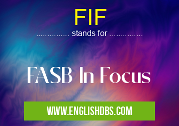 FIF means FASB In Focus FIF