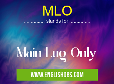 MLO means Main Lug Only MLO