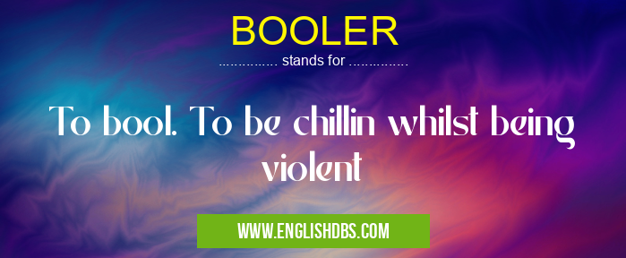 BOOLER means To bool. To be chillin whilst being violent BOOLER